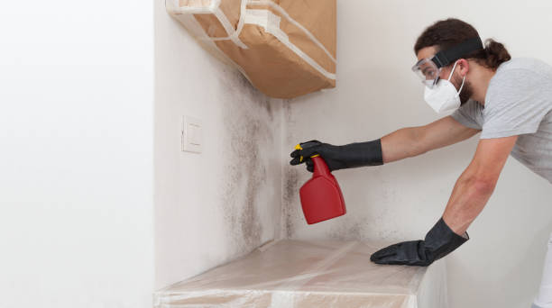 Professional Mold Removal technician working in West Sayville, NY